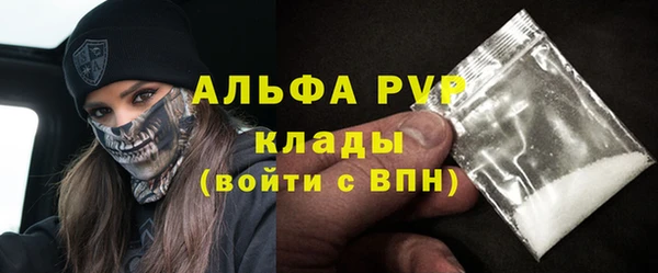 стафф Алзамай