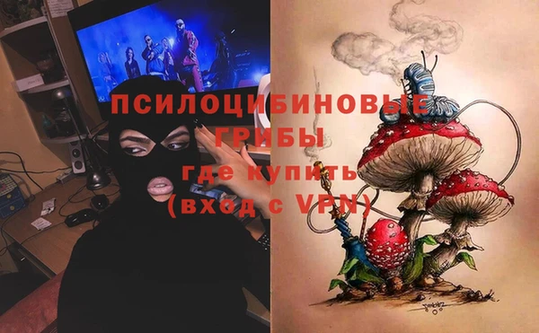 крисы Баксан