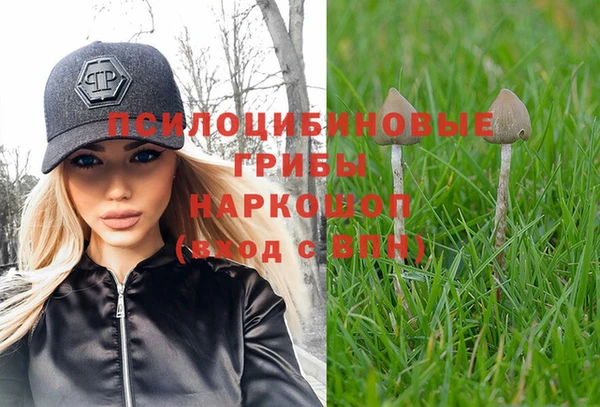 таблы Алексеевка
