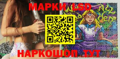 гидропоника Новозыбков