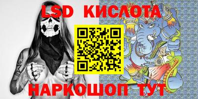 гидропоника Новозыбков