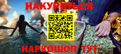 шишки Новодвинск