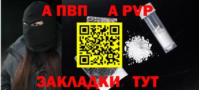 шишки Новодвинск
