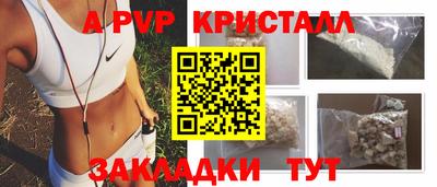 шишки Новодвинск