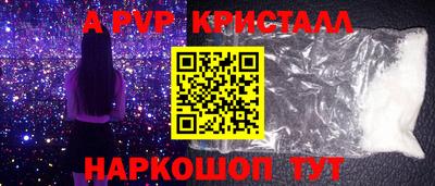шишки Новодвинск