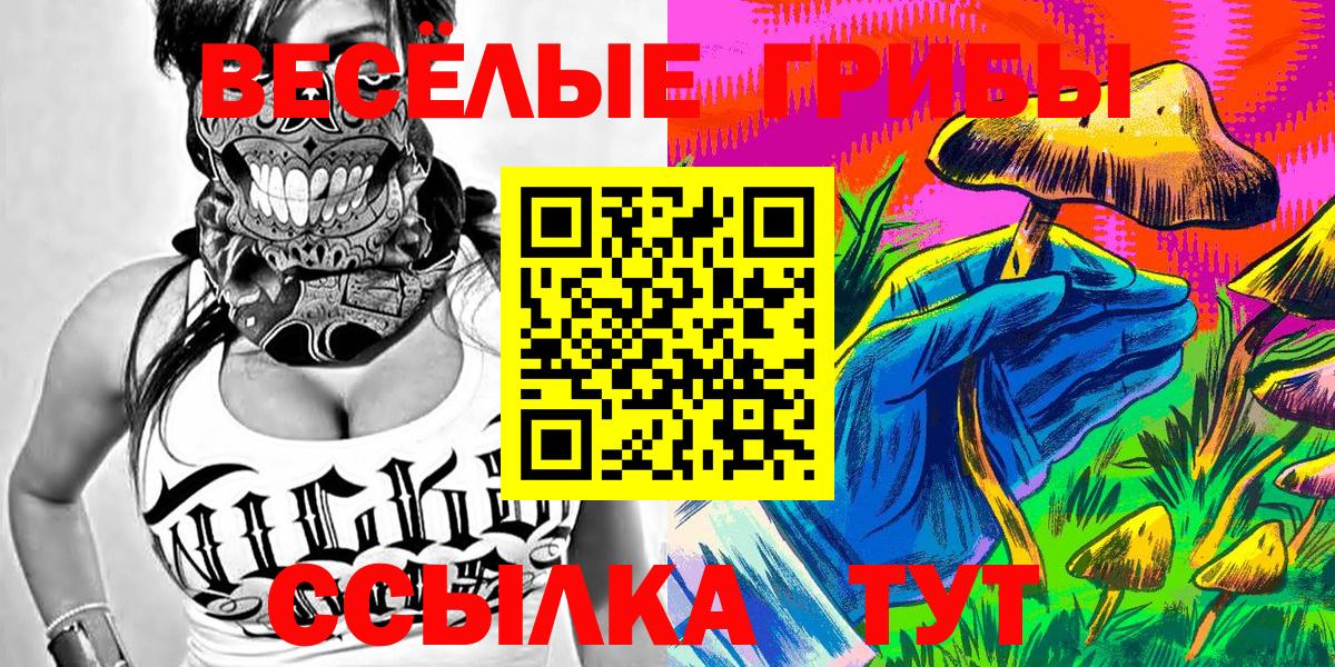 Псилоцибиновые грибы Magic Shrooms Чернушка