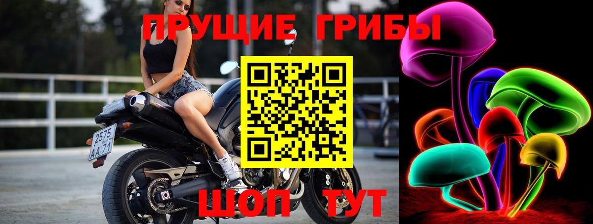 Галлюциногенные грибы мицелий  Вход с VPN  купить  сайты  Чернушка  Галлюциногенные грибы Cubensis 