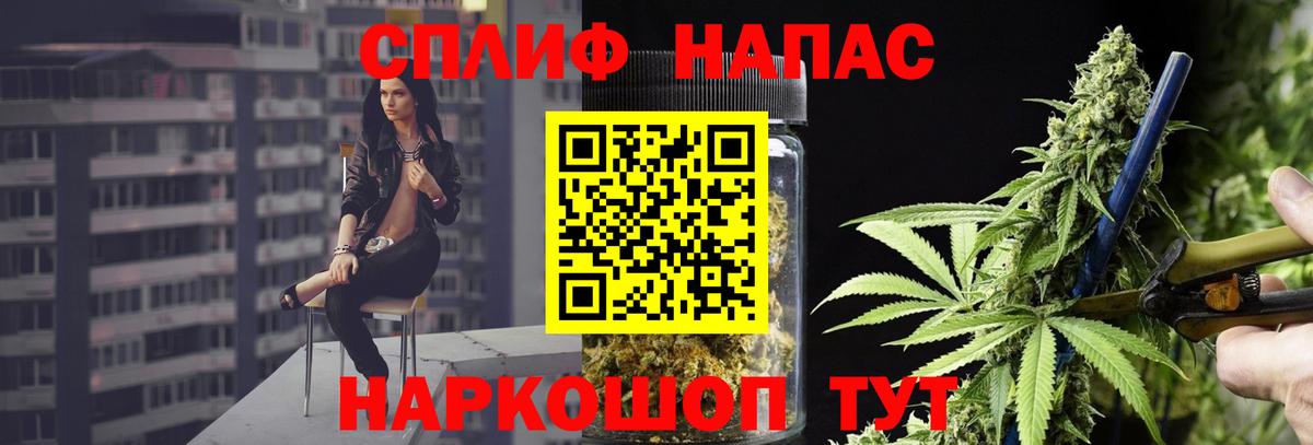 Шишки марихуана план  Вход с VPN  Марихуана Amnesia  Бошки Шишки планчик  Чернушка 